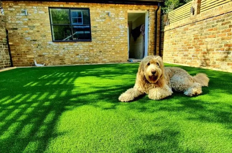 Easigrass premium range Easi-pet 35mm artificial grass
